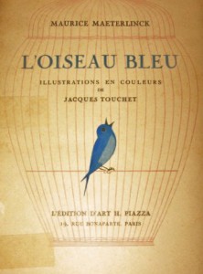 oiseau bleu