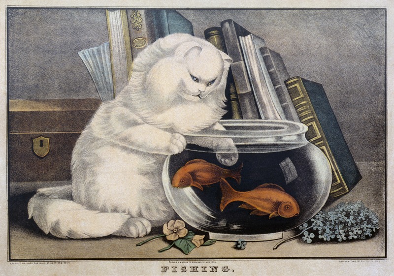 "Fishing" E.B.&E.C.Kellogg(Firm)1842-1845