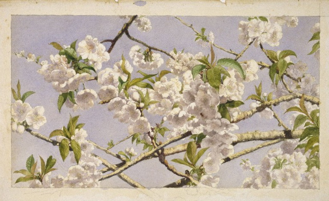 John William Hill"Fleurs de pommier"1874