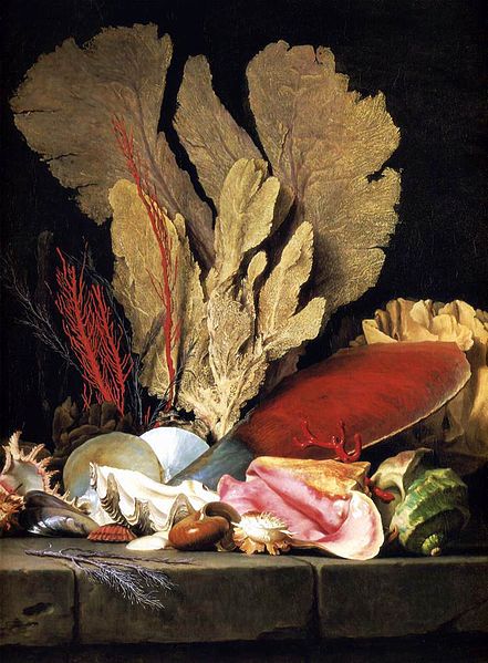 Anne Vallayer-Coster"Corail, plantes marines et coquillages"1769