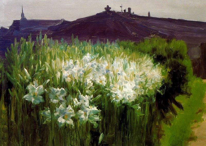 Jaime Morera Galicia-Lys
